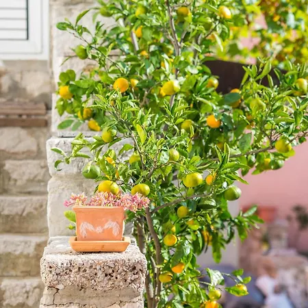 Cozy In With Wifi Σπίτι διακοπών Miholascica